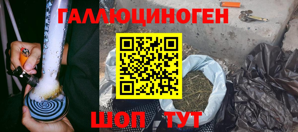 Псилоцибиновые грибы прущие грибы Звенигород
